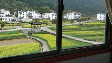 Vista desde la propiedad