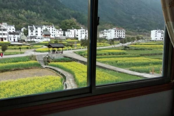 View from property - Shanyuan Hotel (Wuyuan)