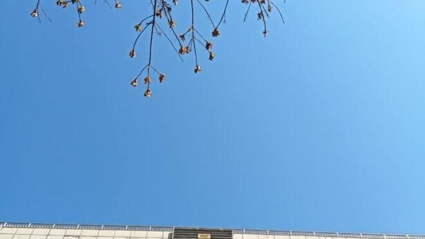 A building with a sign that reads "Yinglin King" and a clear blue sky above. - Haosen Hotel (Urumqi)