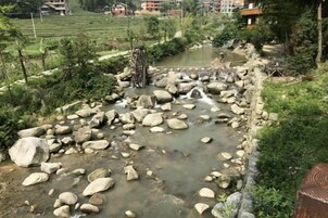 Una fuente natural con rocas y una pequeña cascada, rodeada de vegetación y edificios al fondo.