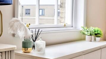 Basic Apartment | View from property