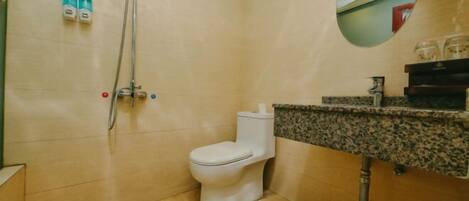 Une salle de bain comprenant des toilettes, une douche, un lavabo avec un plan de travail en granit et un miroir.