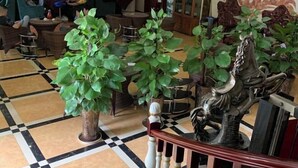 Un hall d’entrée avec un sol à carreaux, des plantes en pot, des meubles en osier et une sculpture métallique décorative.