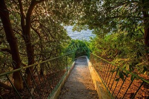 Property grounds - Villa Albi with communal pool, Sorrento (Massa Lubrense)