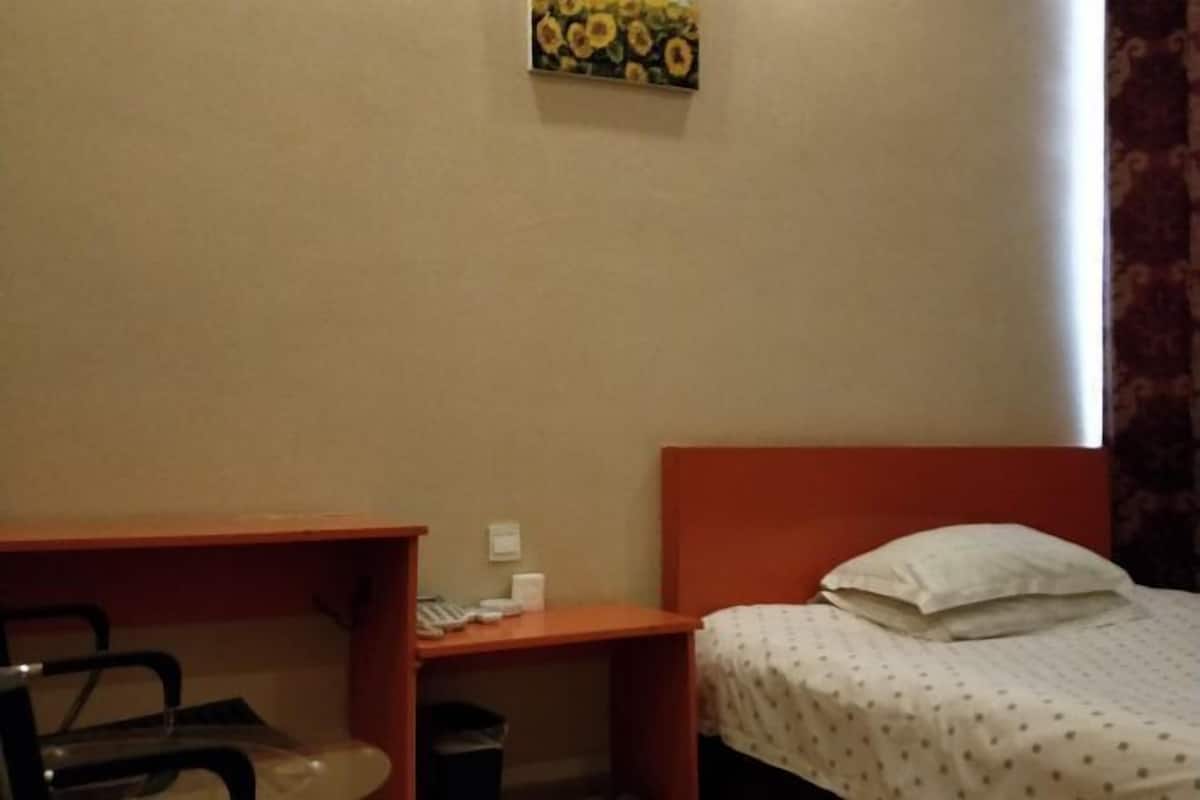 A bedroom with a single bed, a small desk, and a chair.