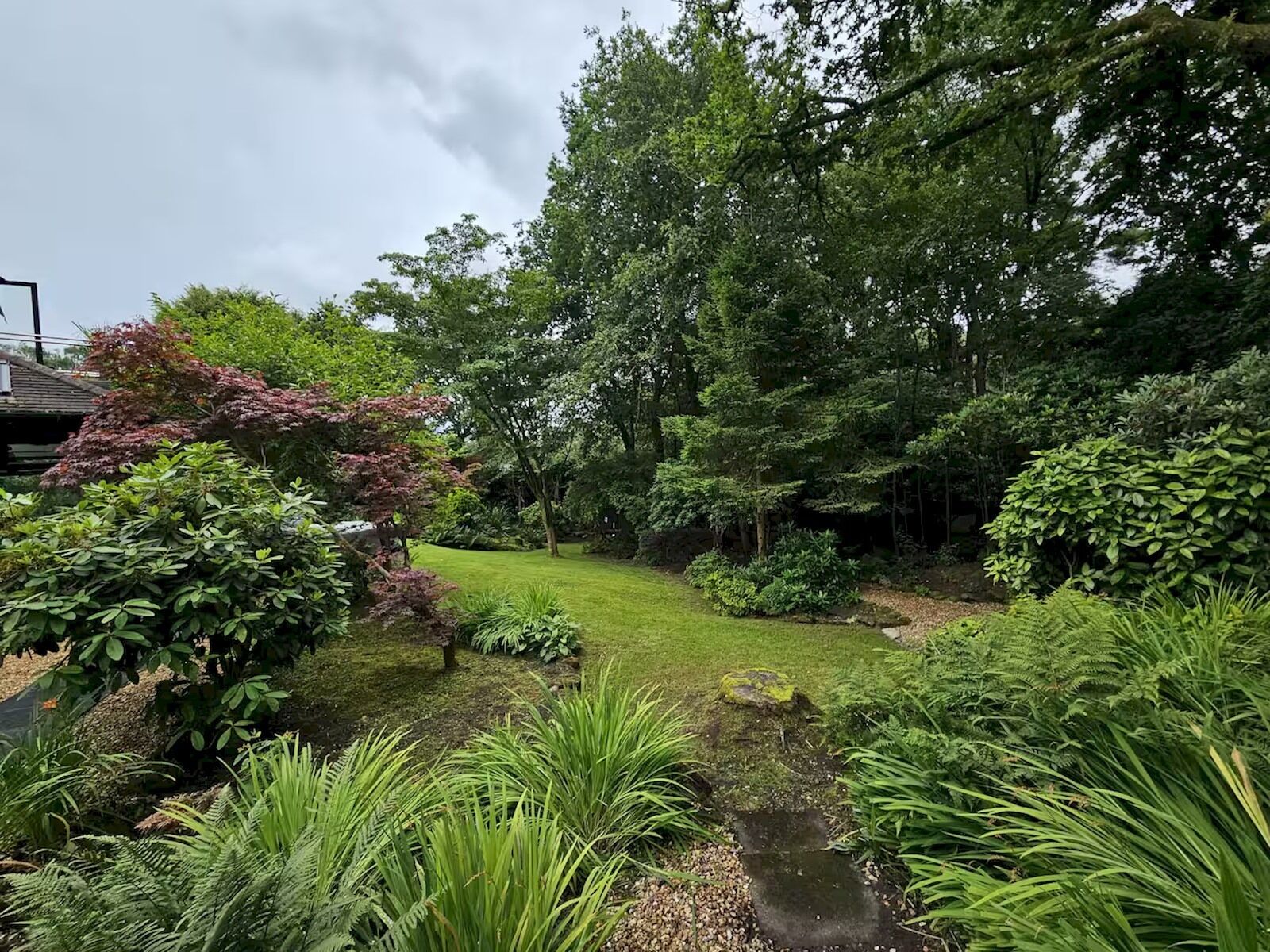 A lush garden with a variety of plants and trees, a small pond, and a wooden structure.