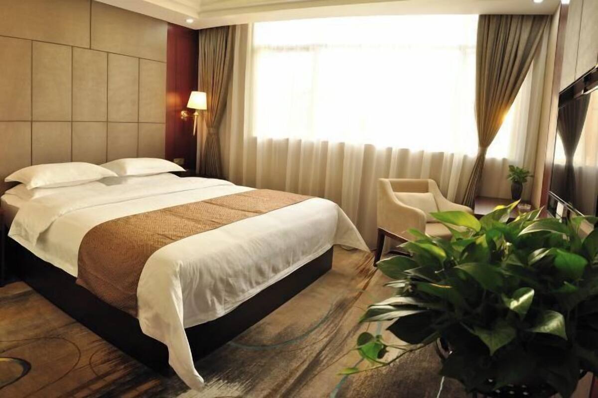 Una habitación de hotel con una cama grande, una silla, una planta y un televisor.