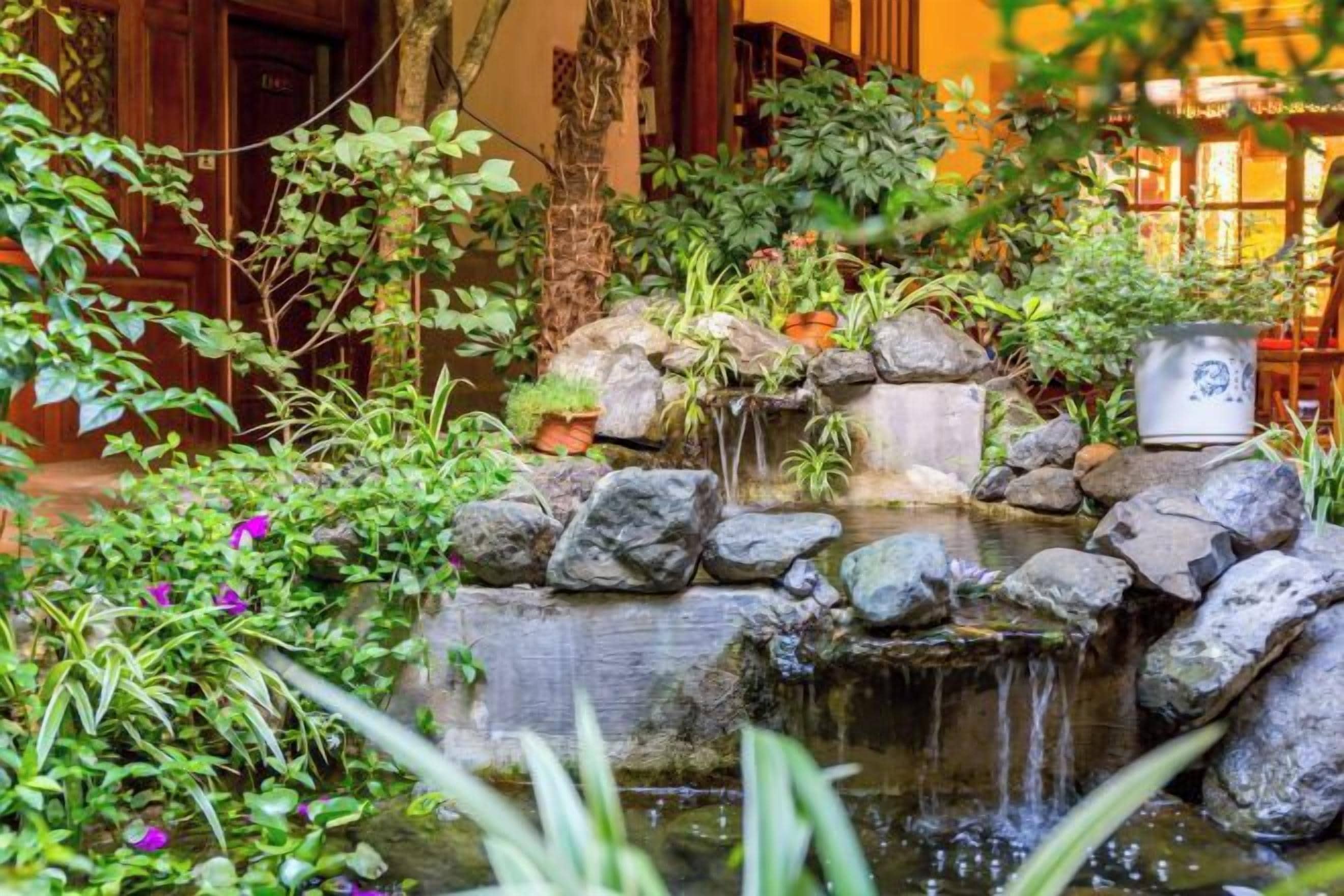 A garden with a small waterfall, rocks, and various plants.