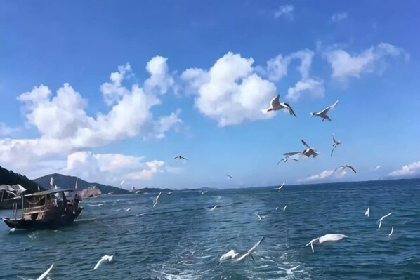A boat on calm water with birds flying overhead. - Huizhou Qibin Homestay (Huidong)