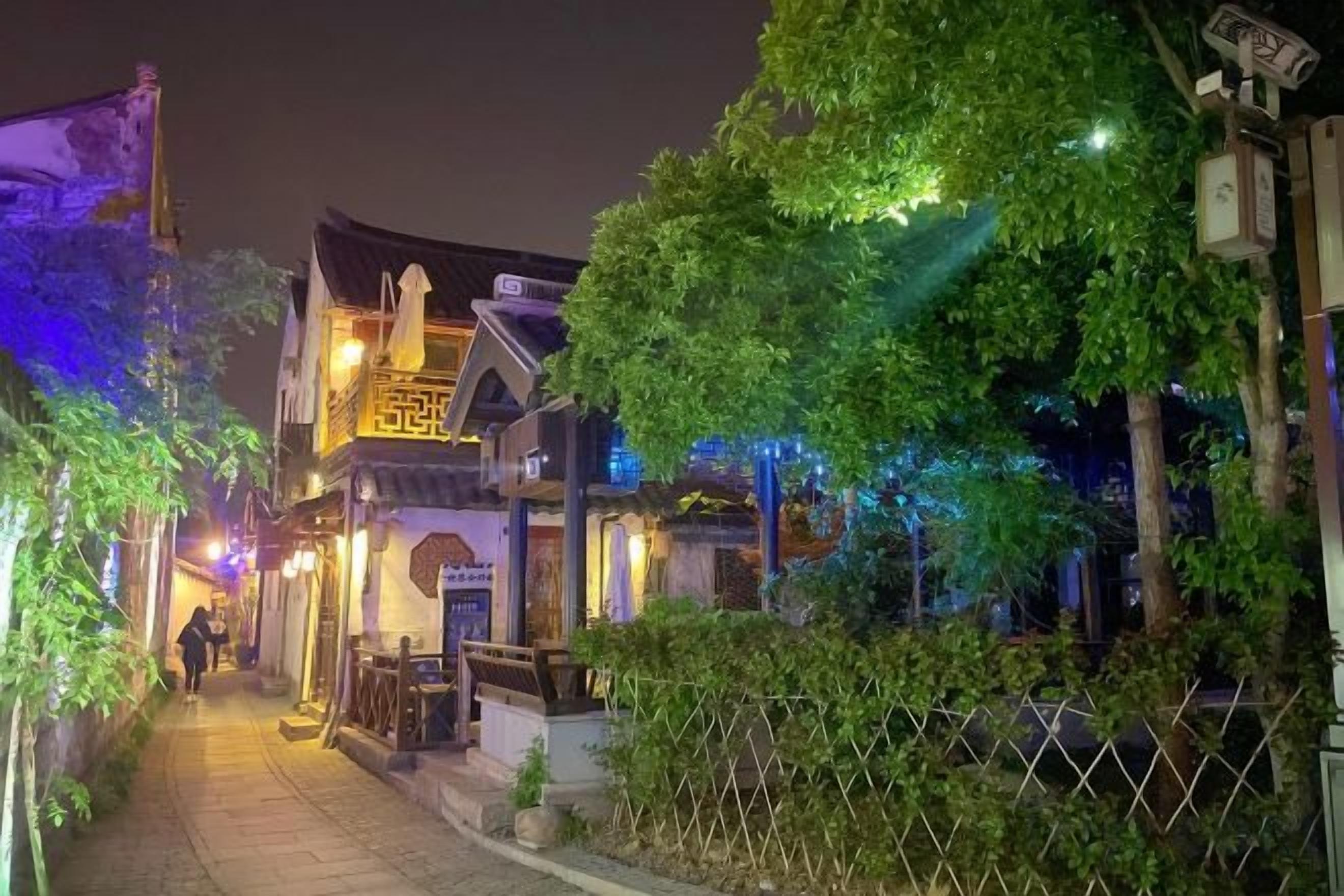 A narrow street with traditional architecture, a pedestrian walkway, and a fence.