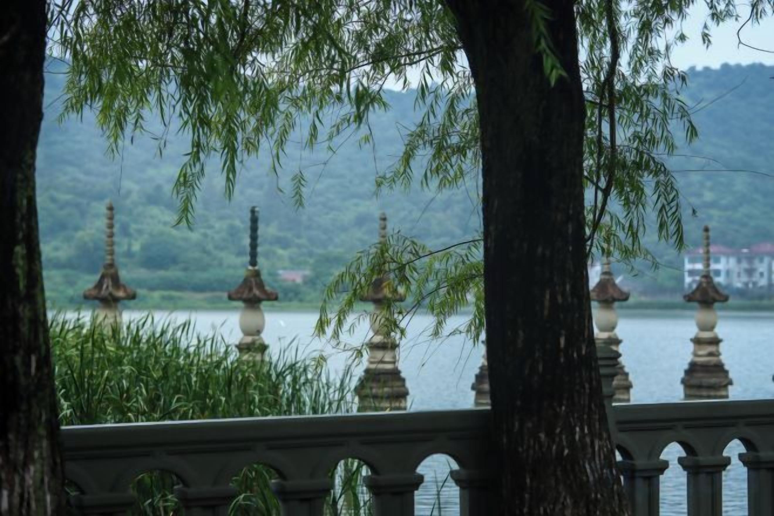 Khuôn viên nơi lưu trú