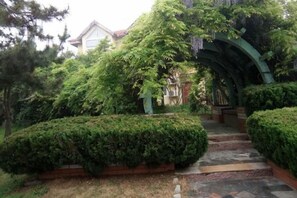 A pathway leading to a house surrounded by lush greenery and a stone staircase. - Qingdao Tianheng Island Homestay (Qingdao)