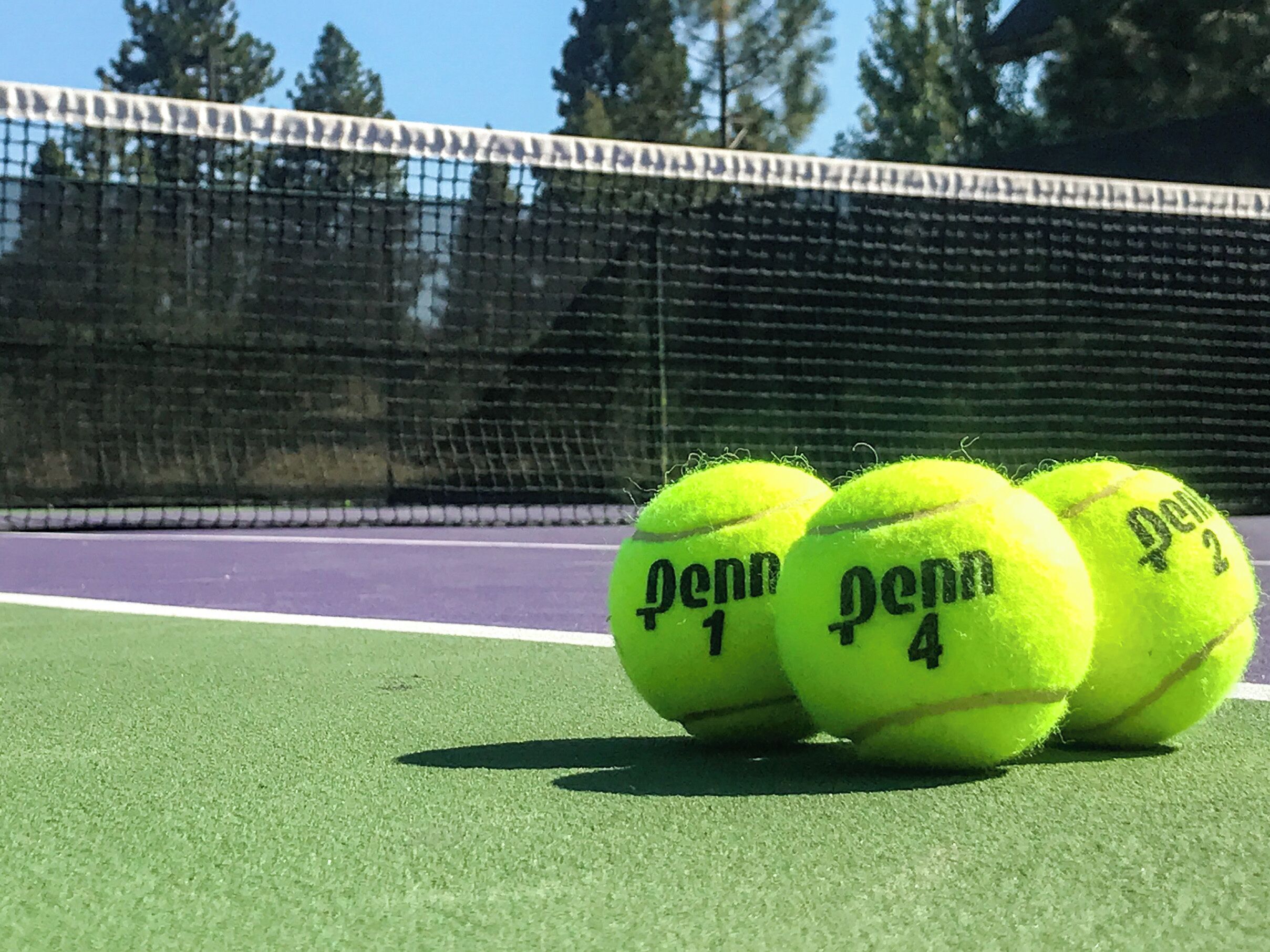 Four tennis balls with "Penn" and numbers on them, placed on a green court with a net in the background.