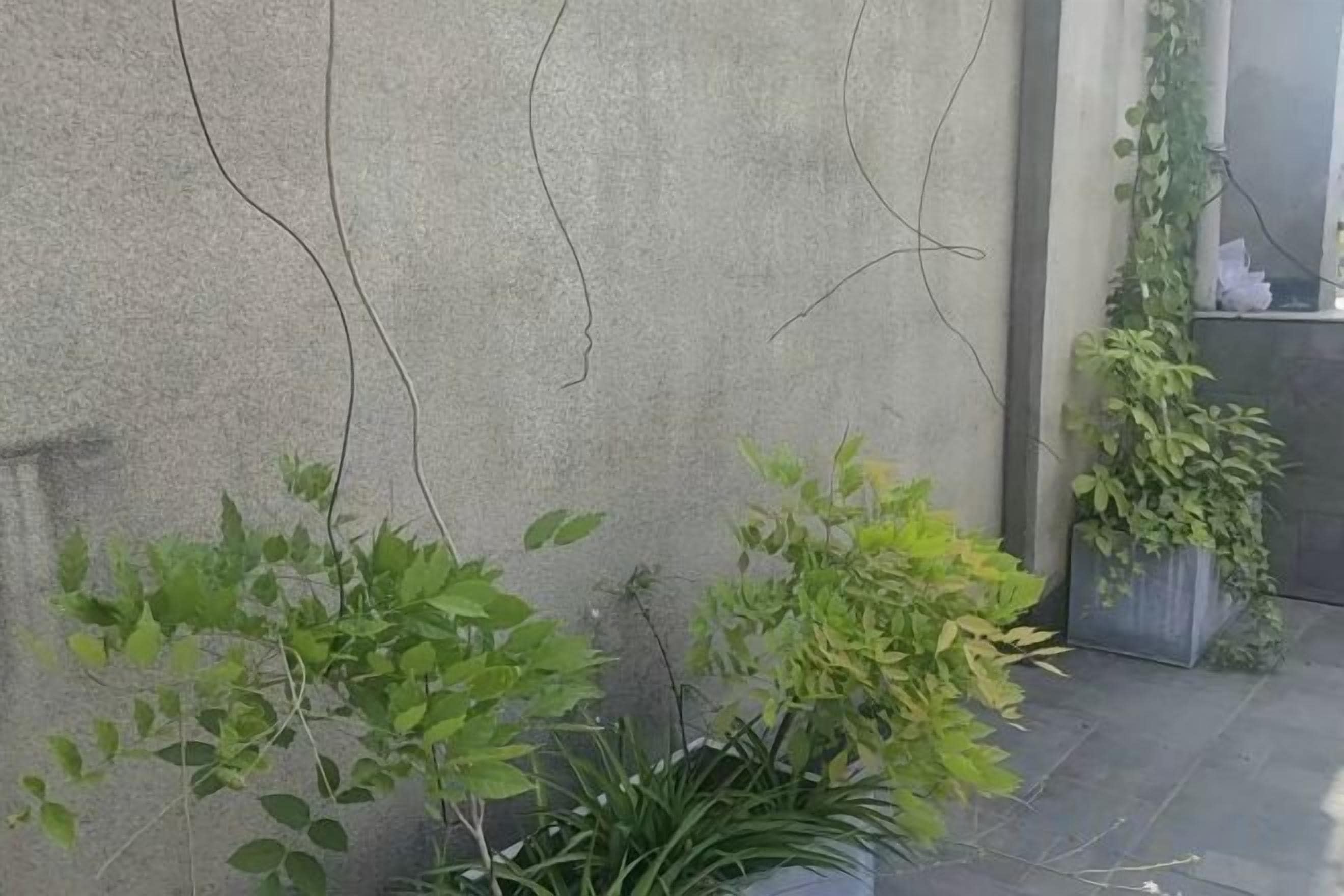 A concrete wall with hanging vines and potted plants.