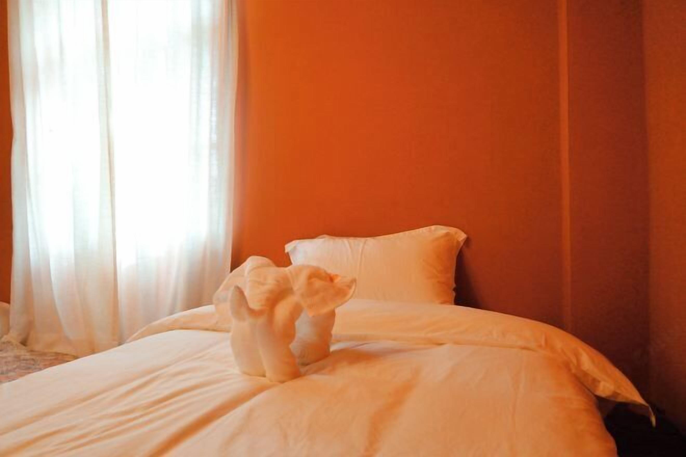 A hotel room with a bed, white bedding, and a window with sheer curtains.