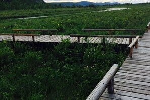 Une promenade en bois surplombe une zone herbeuse, avec une rivière en arrière-plan.