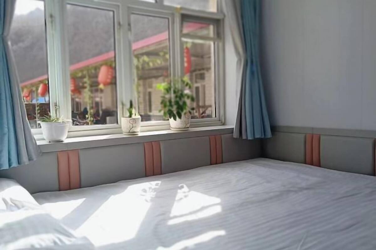 A bed with a view of a building through a window, curtains, and potted plants on the windowsill.