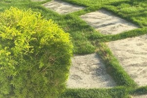 Un jardín con setos cuidados y un camino de piedra con diseño.