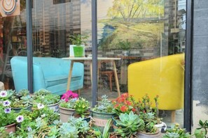 Eine Glaswand mit Blick auf ein gelb-blaues Sofa, einen kleinen Tisch und verschiedene Topfpflanzen.