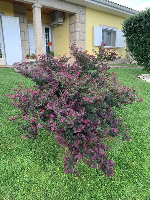 Detalhe da fachada