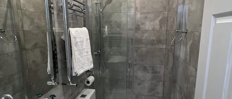 Hair dryer, towels, soap, toilet paper