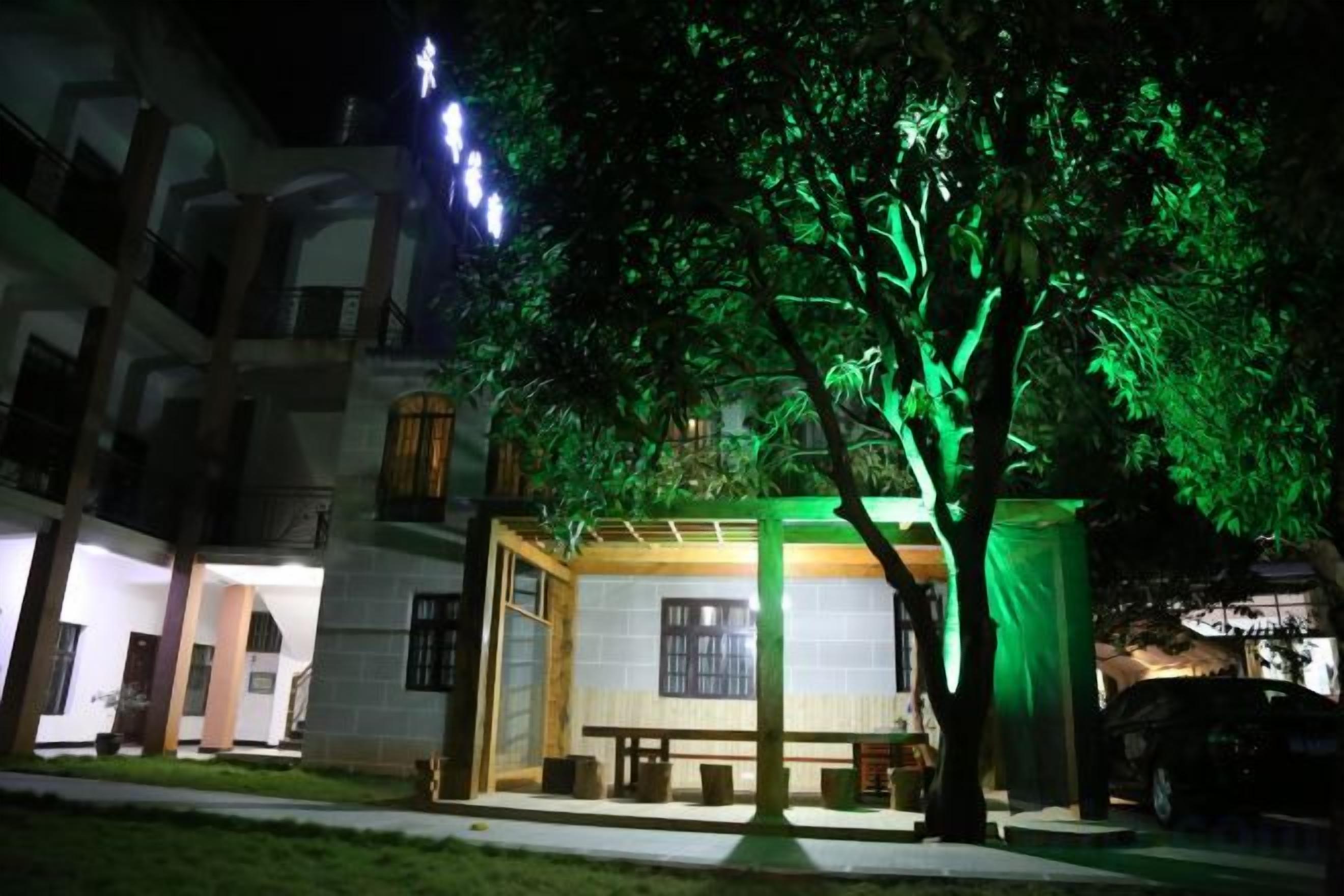 A building with a covered seating area and a tree with green lighting.
