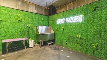 Une pièce avec un mur vert sur lequel est inscrit « LAVE-PATTES » et un poste de lavage en acier inoxydable.