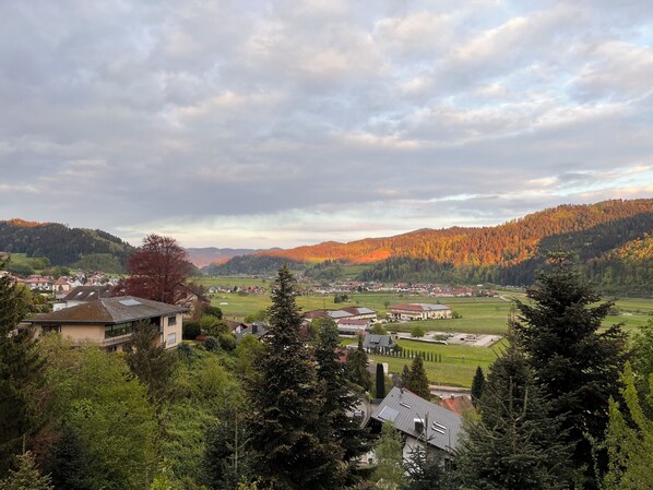 Miscellaneous - Graceland in the Black Forest (Fischerbach)