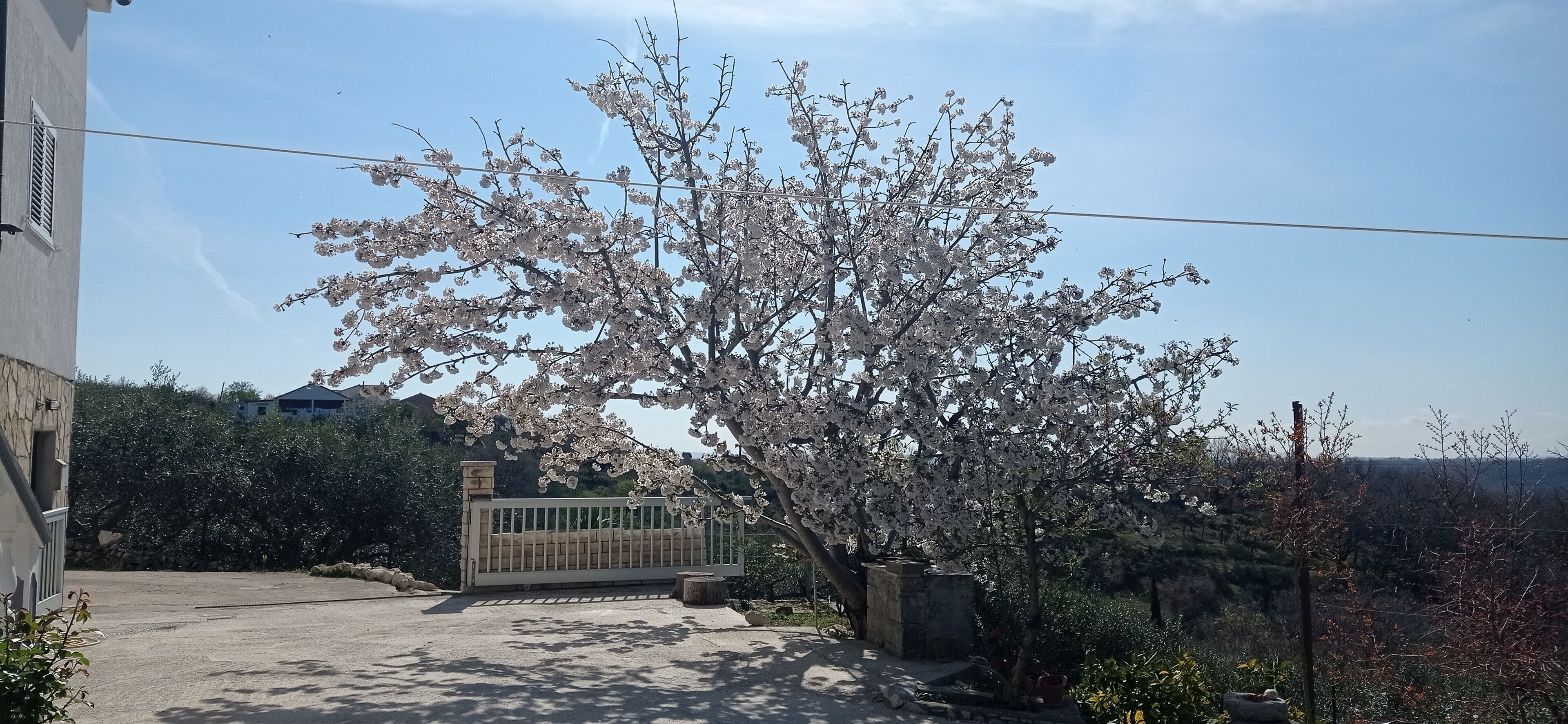 Áreas de la propiedad