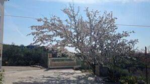 A cherry blossom tree in front of a gated entrance with a stone wall and a small stone bench. - Apartment Tina (Ražanac)