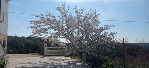 Property grounds - Apartment Tina (Ražanac)