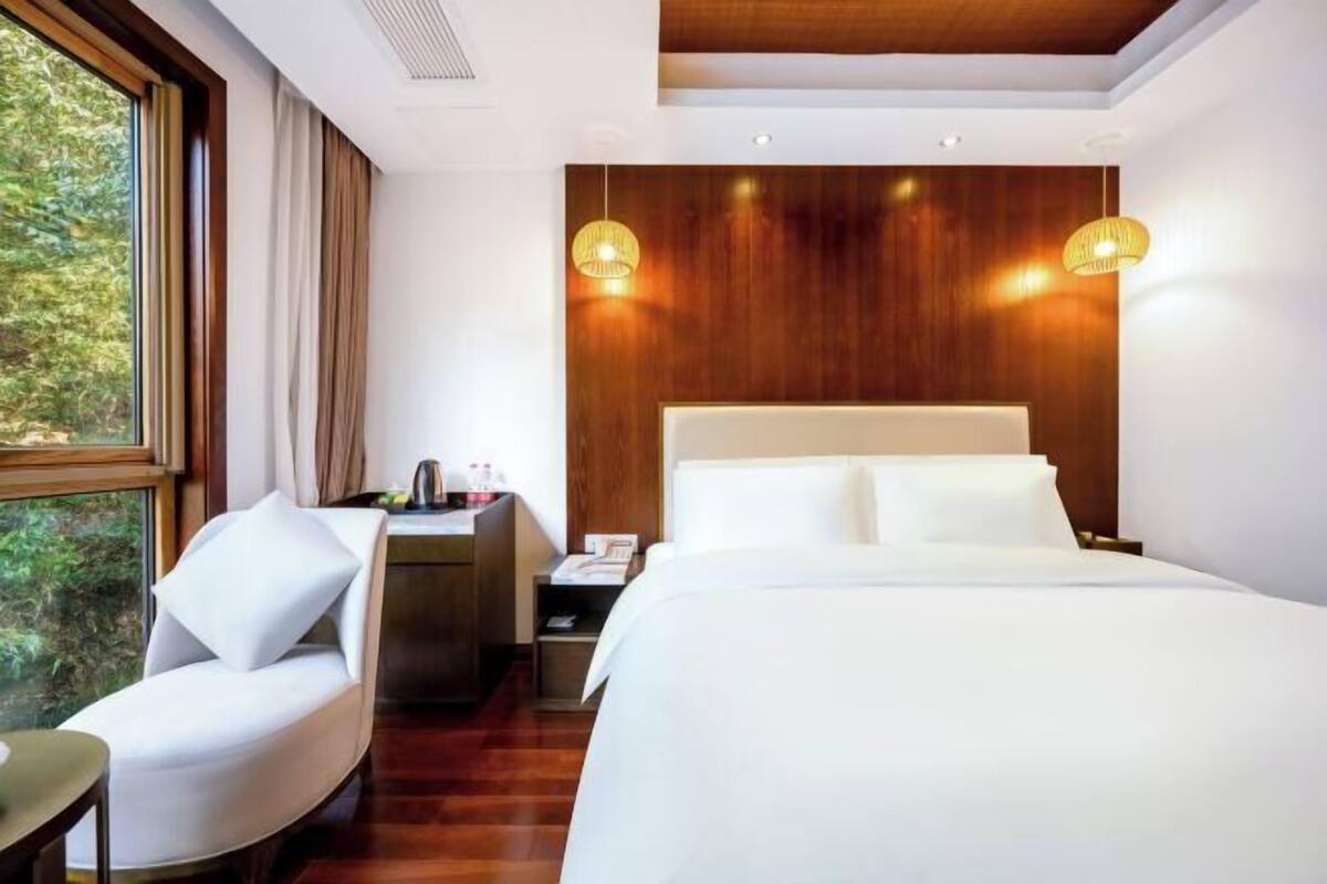 Habitación de hotel con cama, una silla, un escritorio y vistas a árboles.