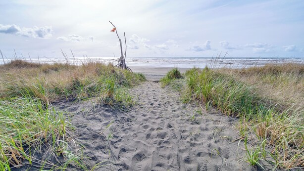 A sandy beach path leading to the ocean with grass on either side. - Ocean Shores Retreat w/ Fire Pit - Walk to Beach! (Ocean Shores)