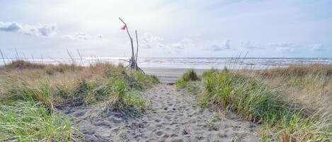 Playa
