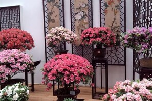 A variety of potted plants with flowers in different colors. - Starlight Hotel(Jinggangshan Railway Station Store) (Jinggangshan City)