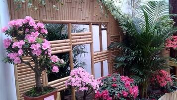 A garden with various potted plants and a bamboo structure.