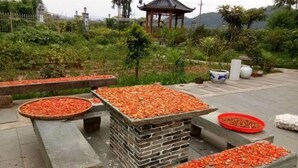 Un jardin avec des tables en pierre recouvertes de piments rouges, entouré de verdure et agrémenté d’un belvédère.