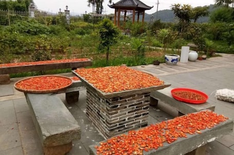 Property grounds. Wuyuan Wo Shun House