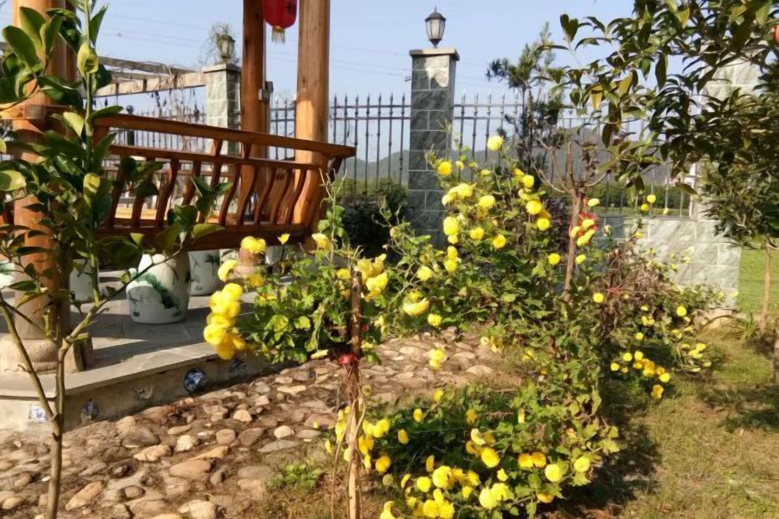 A garden with a bench, a stone pathway, and a fence.