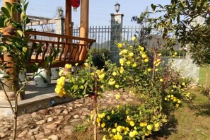A garden with a bench, a stone pathway, and a fence. - Wuyuan Wo Shun House (Wuyuan)