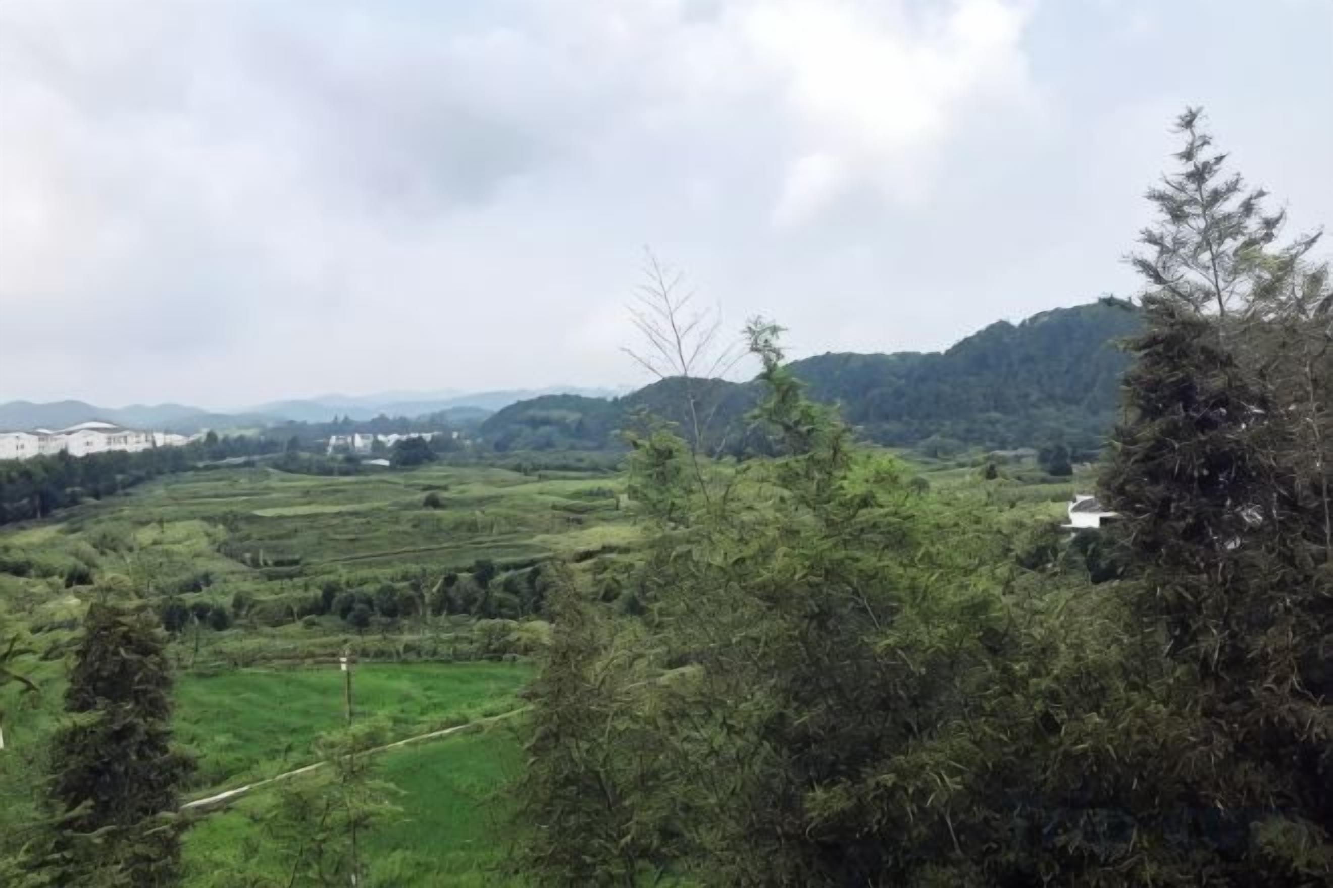 Panoramica di un paesaggio collinare, con alberi e un edificio in lontananza.