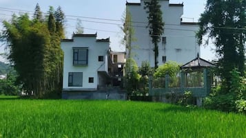 A residential building with a modern design, surrounded by a lush green field.