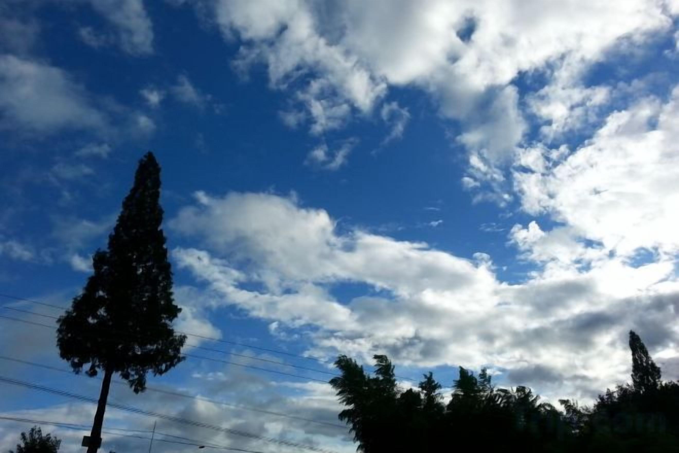 A clear sky with clouds and silhouettes of trees.