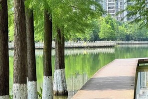 View from property - hongdu hotel (Laibin)