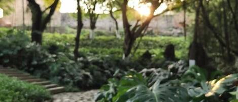 Vista desde la propiedad