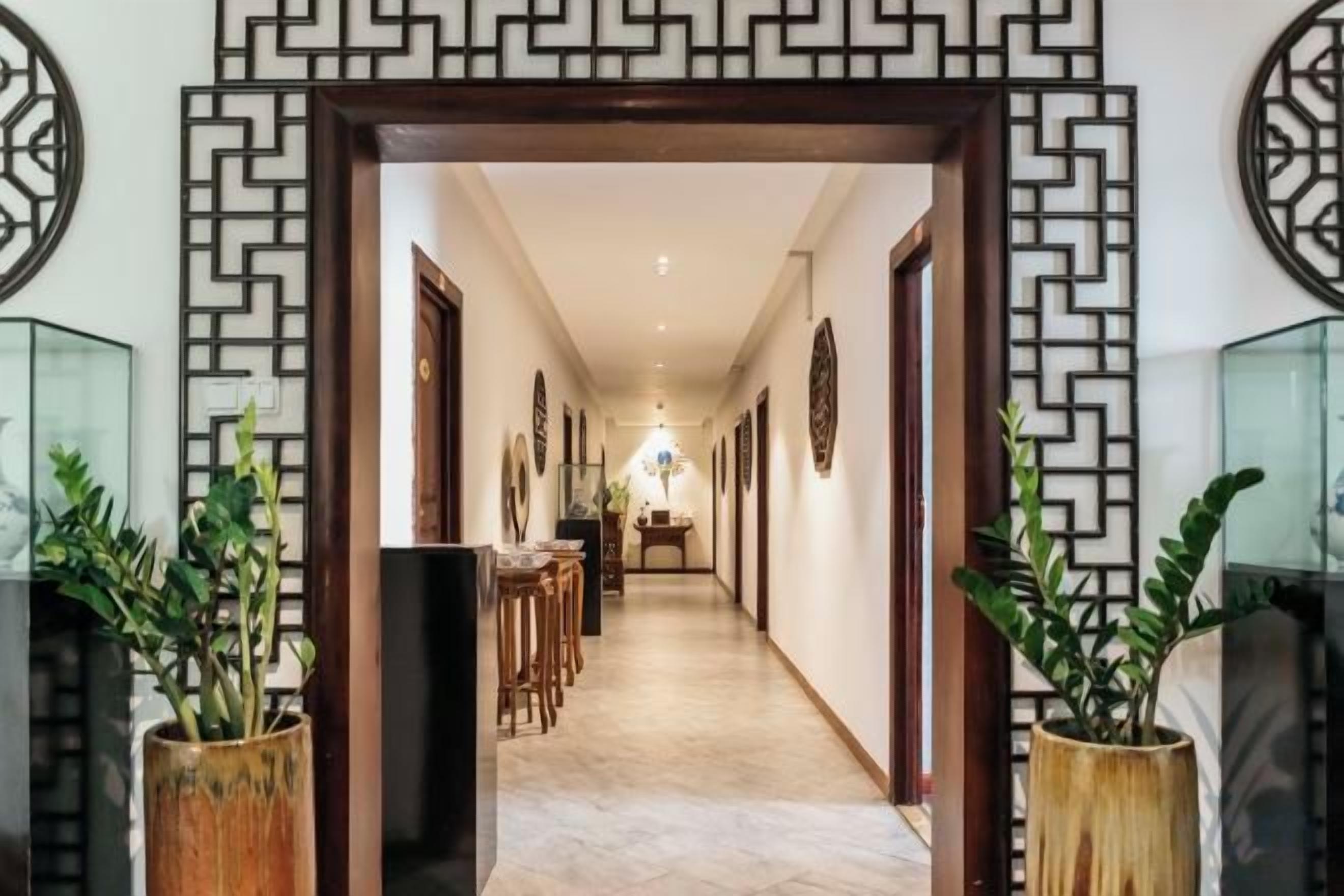 A hallway with a patterned wall design, potted plants, and a series of doors leading to rooms.
