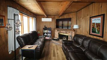 TV connectée, cheminée, livres