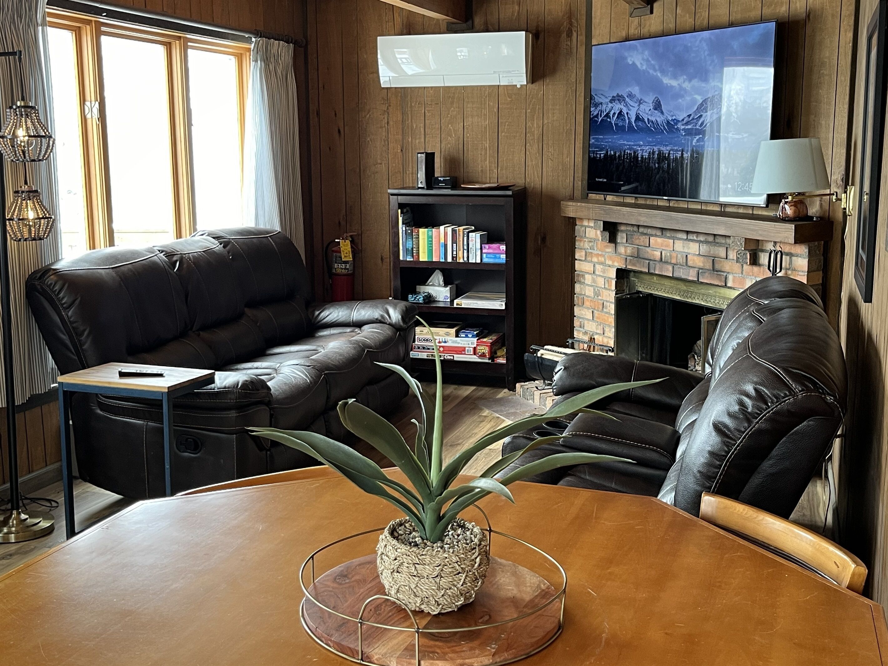 Smart TV, fireplace, books