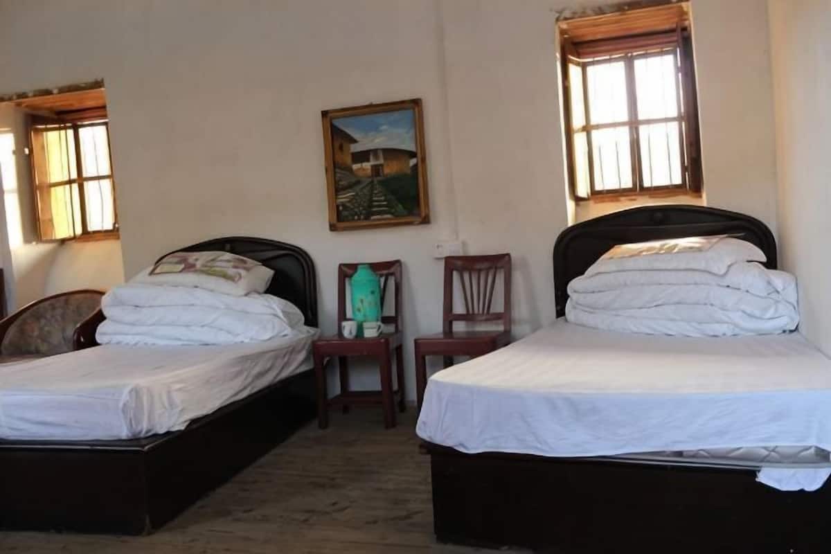 Two single beds with wooden frames, a chair, a painting on the wall, and windows with curtains.