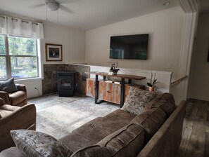 Smart TV, chimenea, libros